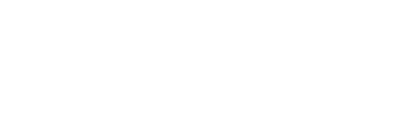 فلاي شام