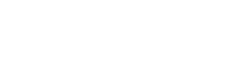 Fly Cham