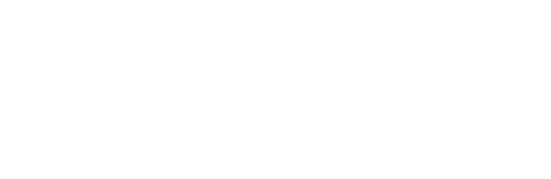 طيران الاتحاد
