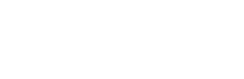 فلاي دبي
